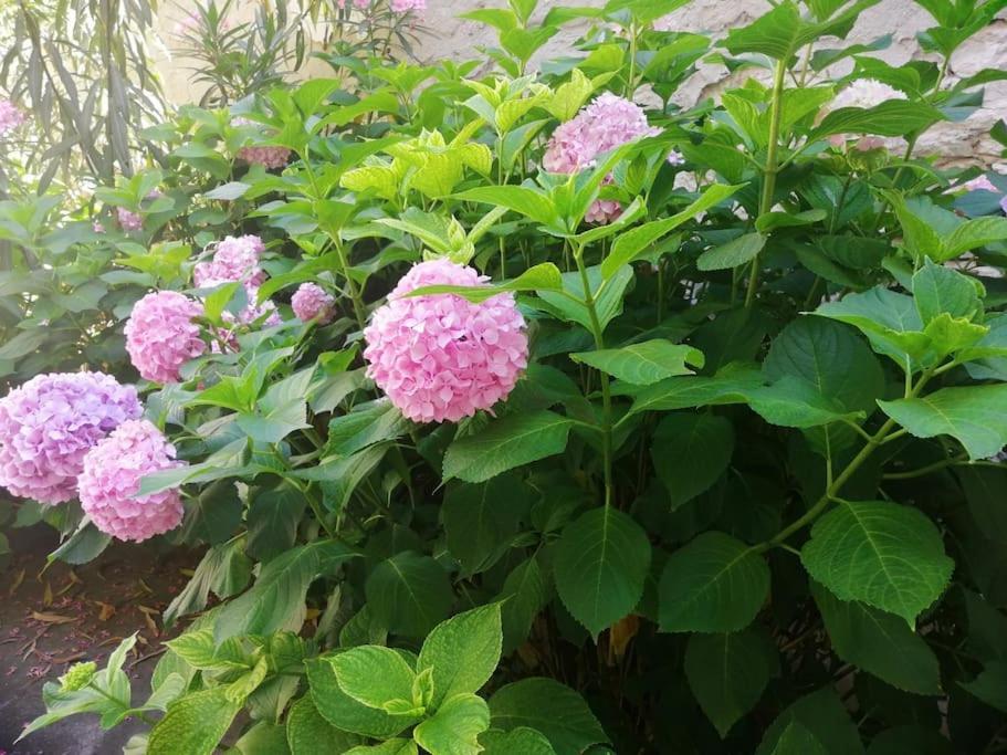 PUY Apartment Micaela מראה חיצוני תמונה